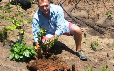 Dicembre 2017 – Progetto Papaye: bonifica completata!