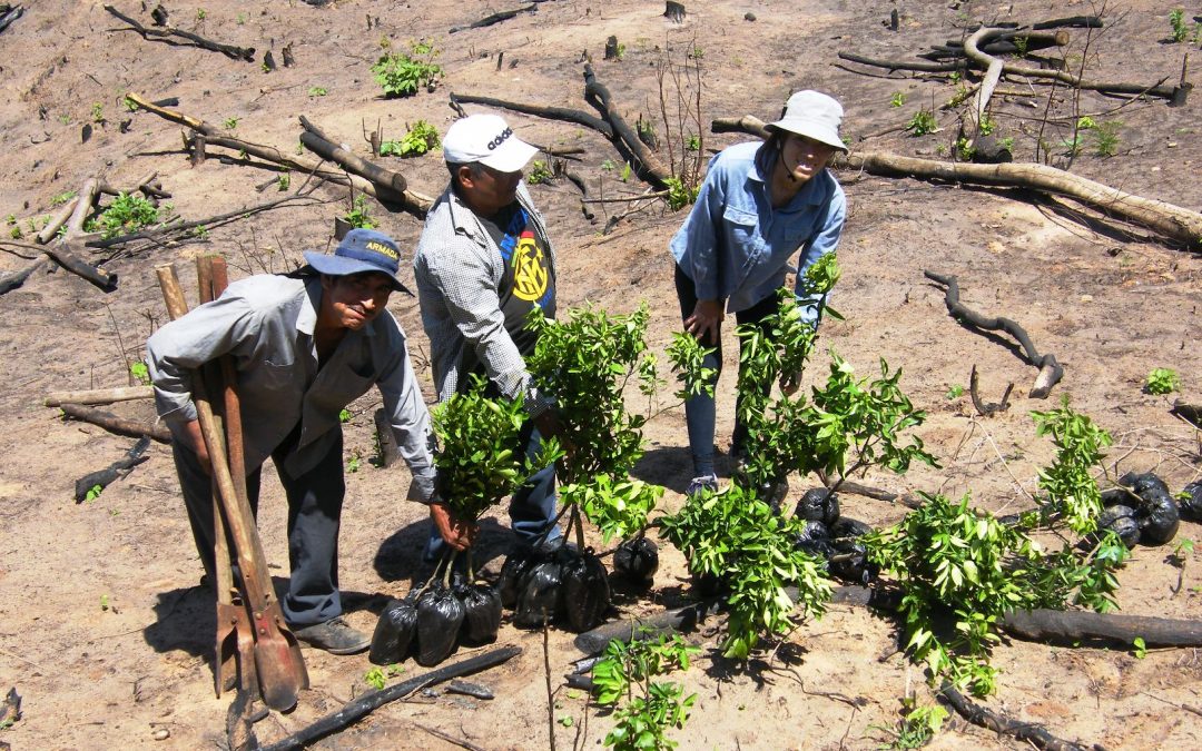 Gennaio 2018 – É iniziata la semina